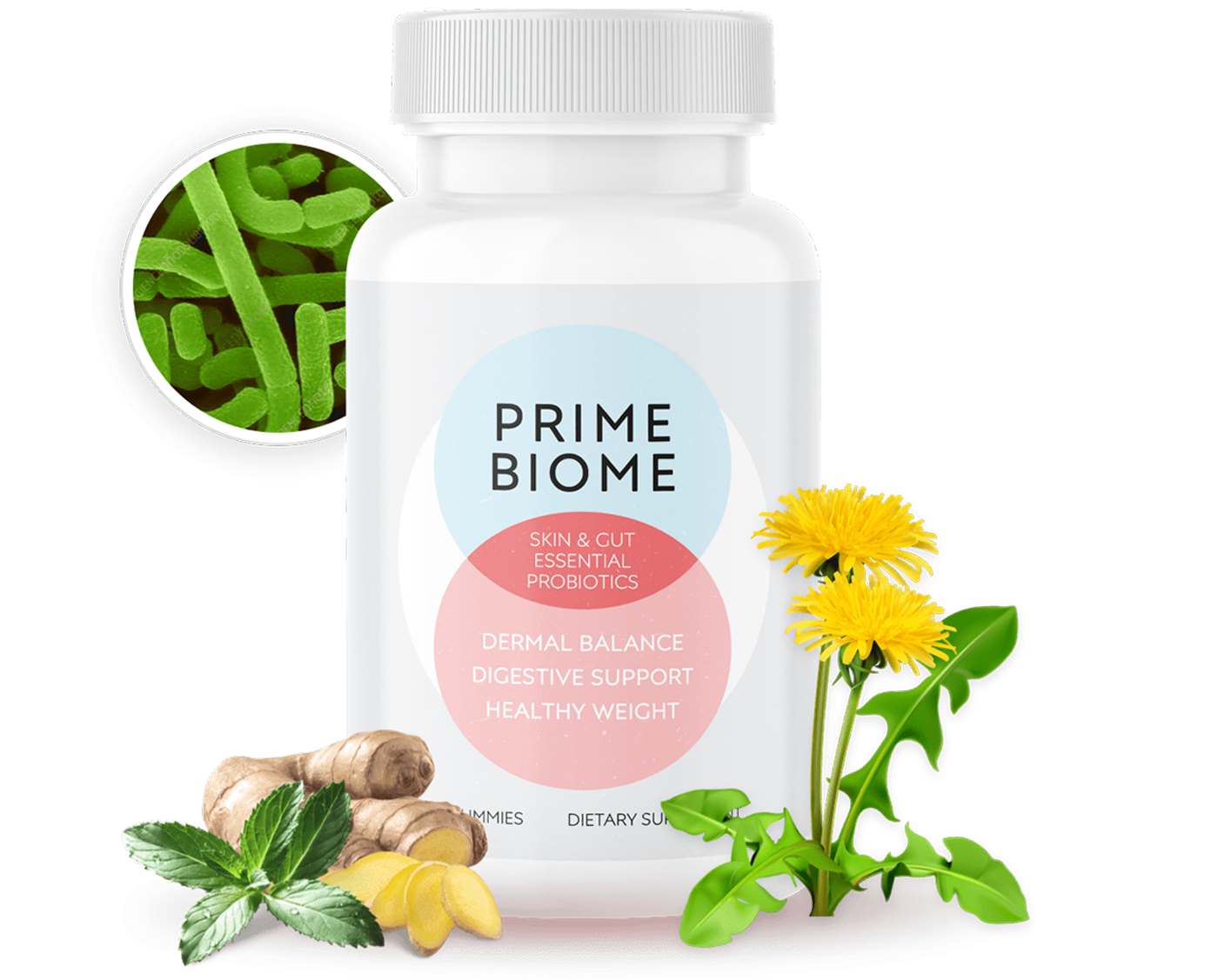 PrimeBiome